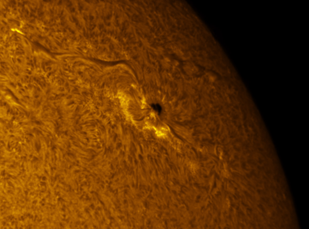 Sunspots 1383 and 1384 in h-alpha 12/29/2011