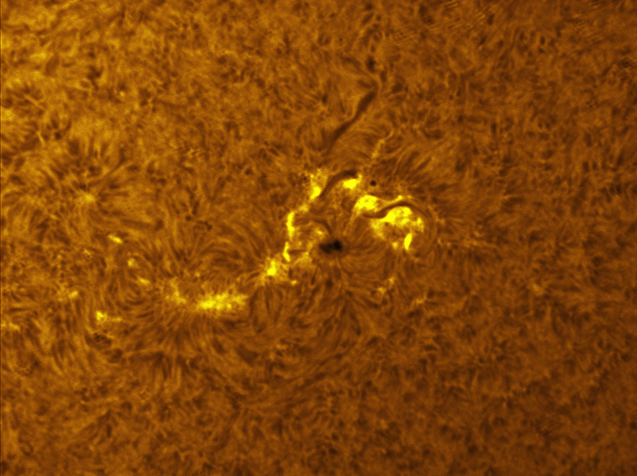 Sunspot 1386 in h-alpha 12/29/2011