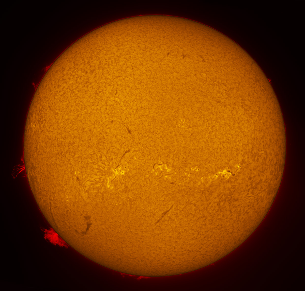 Solar Disk in h-alpha 12/31/2013