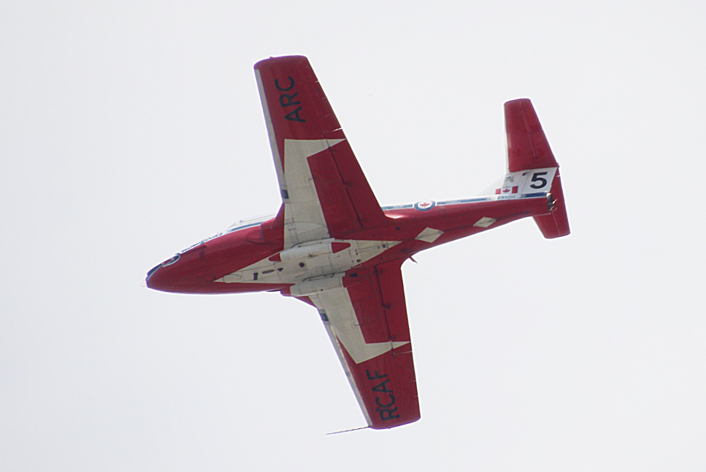 Canadian Snowbirds. 