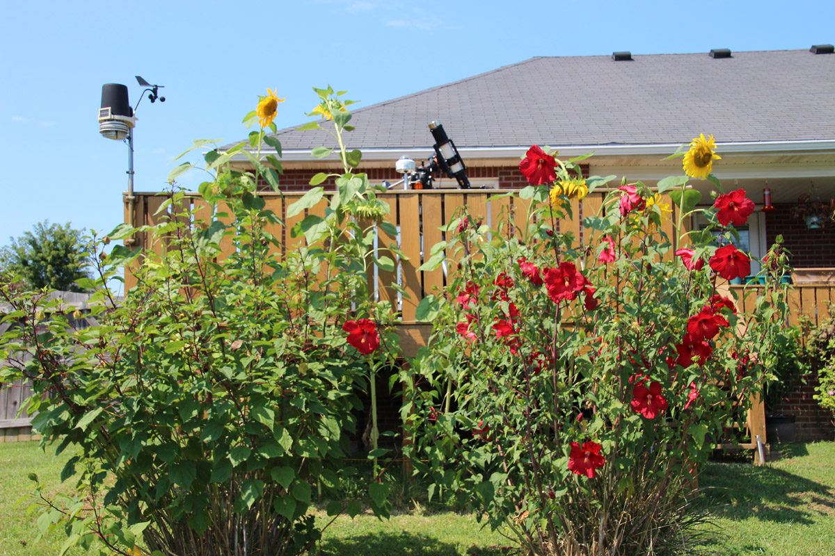 My solar imaging setup with some sunflowers