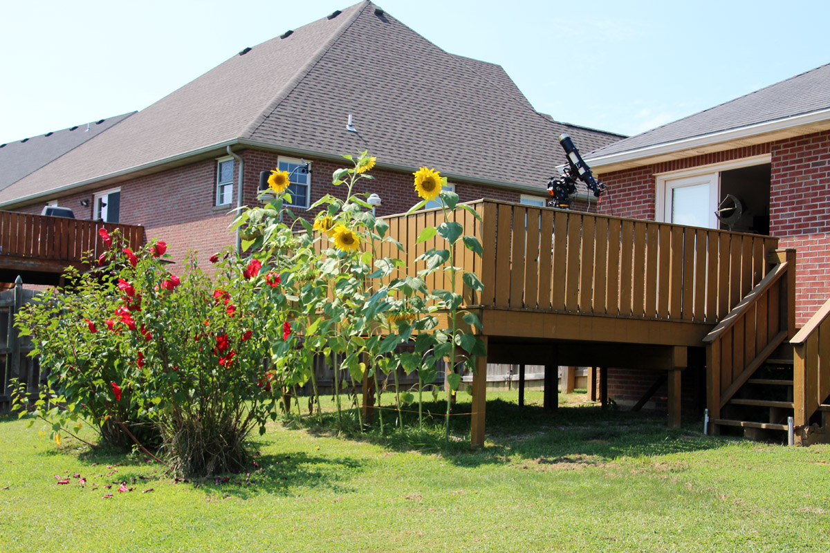 My solar imaging setup with some sunflowers
