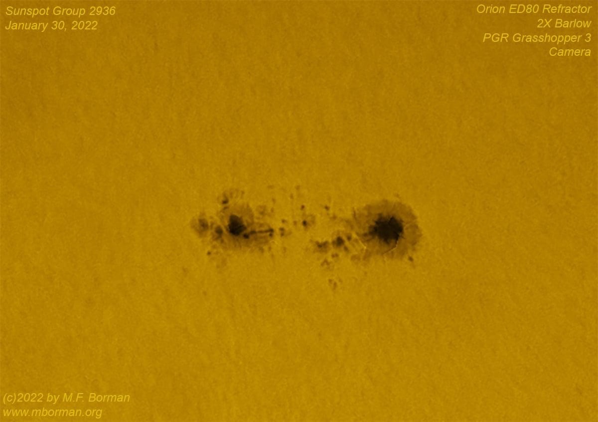 Sunspot group 2946 in white light 01/30/2022
