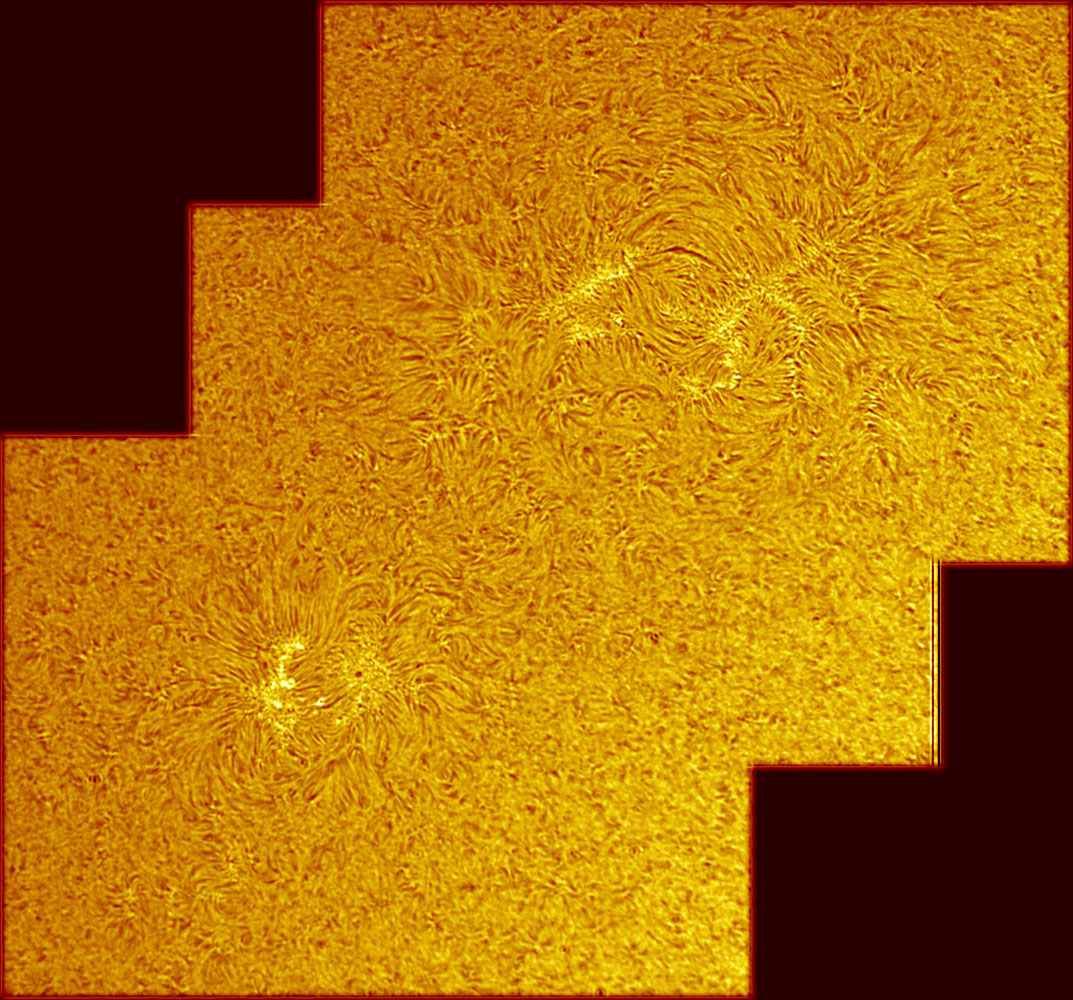 Sunspot 1033 in h-alpha 11/21/2009