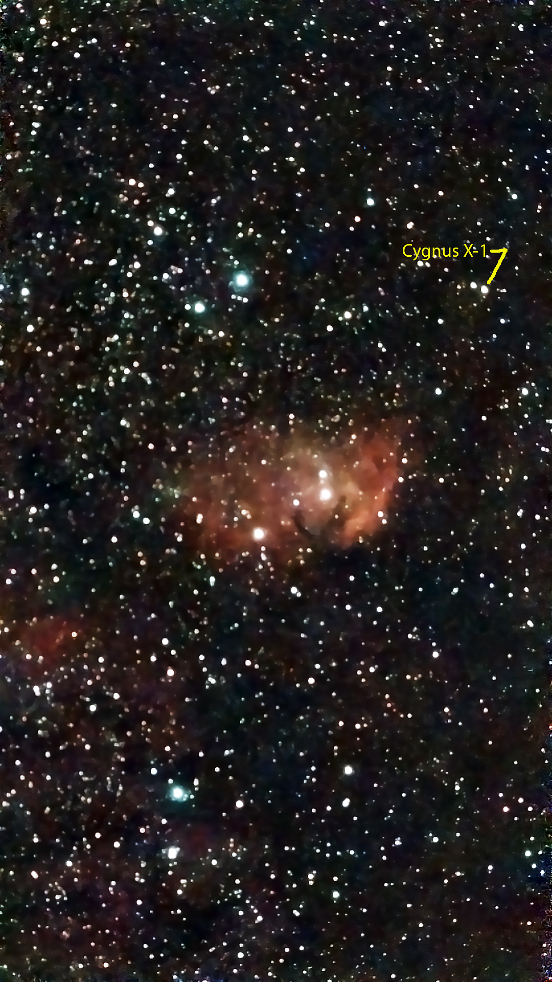 Tulip Nebula Sh 2-101 and Cygnus X-1 Black Hole.