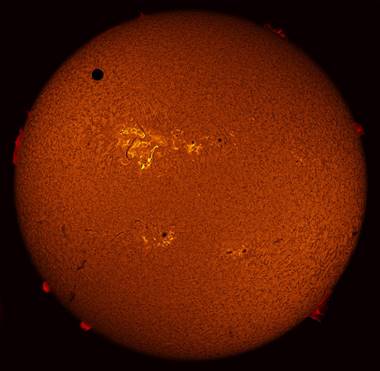 Description: Venus Transit in h-alpha 06/05/2012